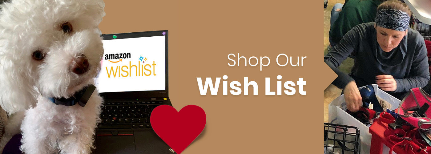 Shop our wishlist.